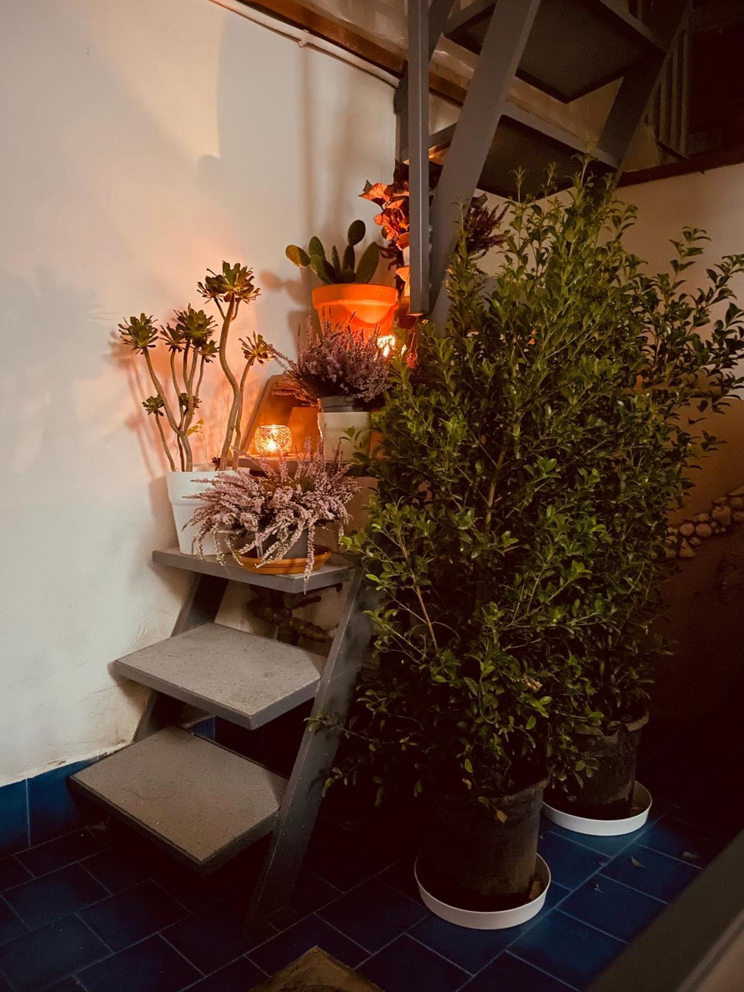 Civico59 Villa Катания Екстериор снимка